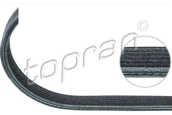 TOPRAN Serpentine belt Article number: 109 659 cheaply