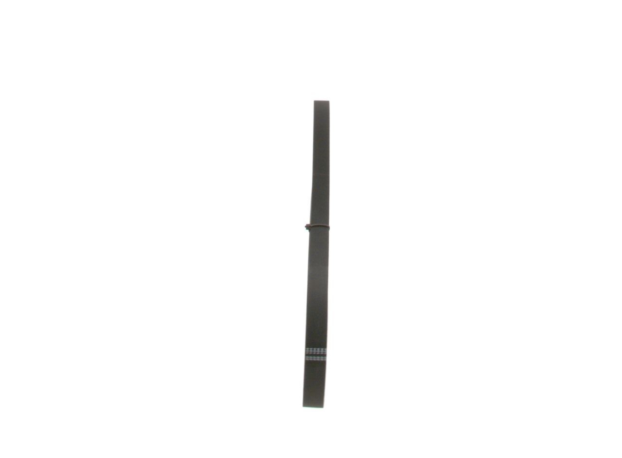 BOSCH Serpentine belt Article number: 1 987 947 849 cheaply