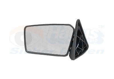 VAN WEZEL Wing mirror Article number: 4025802 cheaply