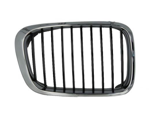 BLIC Radiator Grille Article number: 6502-07-0061994P cheaply