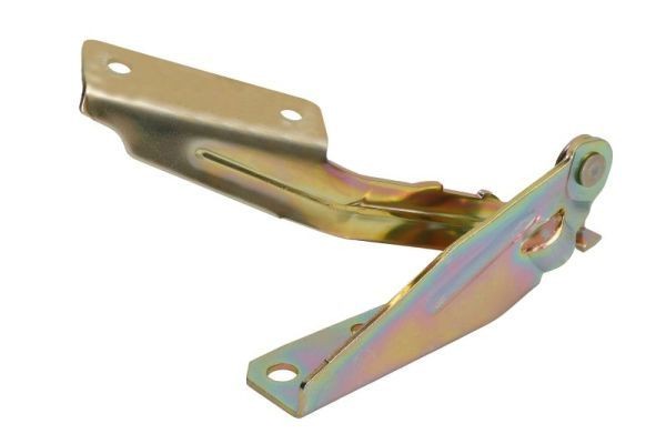 BLIC Hinge, bonnet Article number: 6802-00-2532452P cheaply