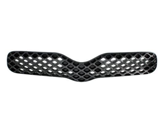 BLIC Radiator Grille Article number: 6502-07-8109990P cheaply
