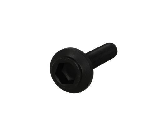 BTA 470W0116BTA Screw PASSAT 1.9 TDI Syncro/4motion 110 PS Diesel 2001