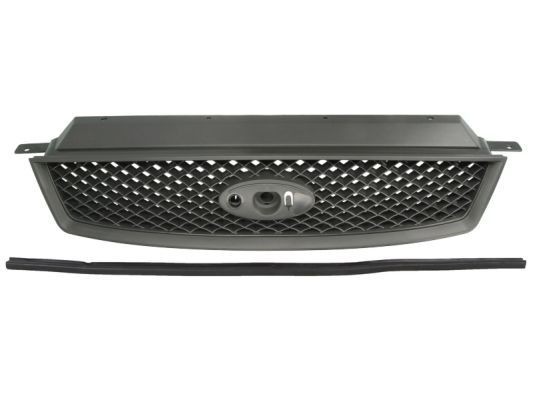 BLIC Radiator Grille Article number: 6502-07-2534990P cheaply