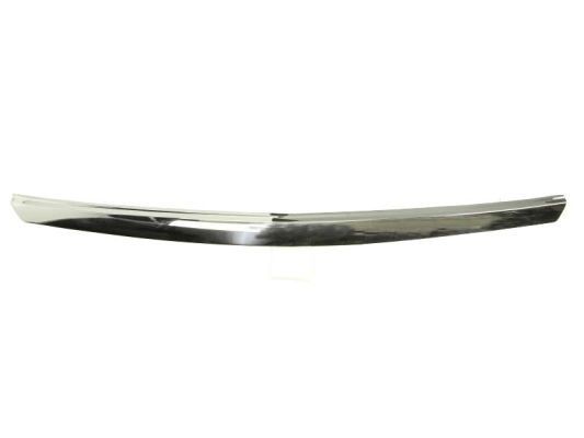 BLIC Trim / Protective Strip, radiator grille Article number: 6502-07-3475994P cheaply
