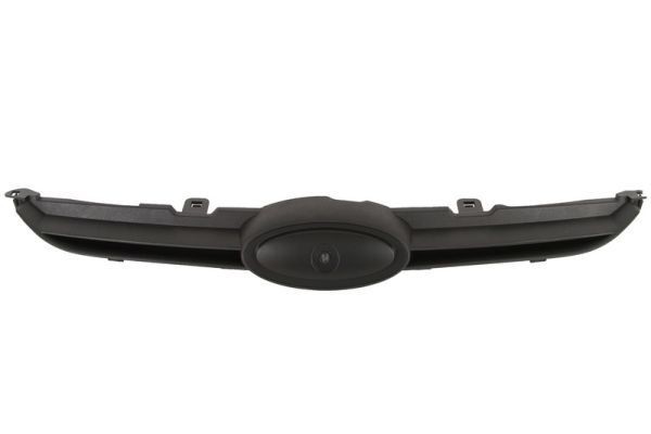 BLIC Radiator Grille Article number: 6502-07-2565990P cheaply