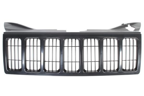 BLIC Radiator Grille Article number: 6502-07-3205992P cheaply
