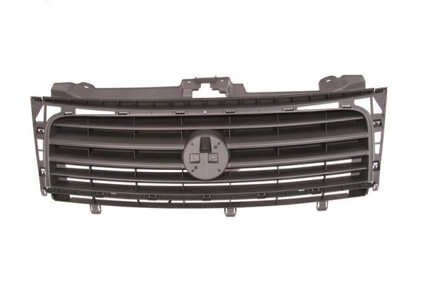 BLIC Radiator Grille Article number: 6502-07-2035990P cheaply
