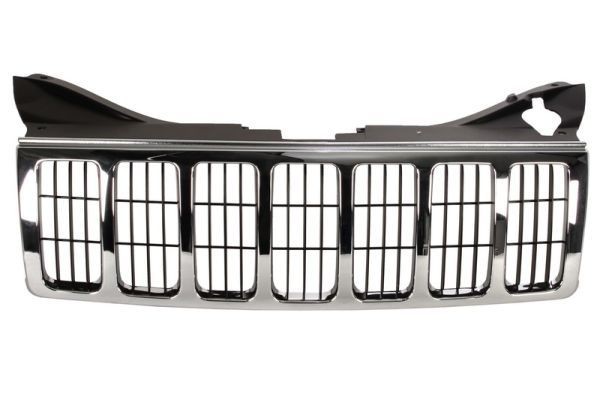 BLIC Radiator Grille Article number: 6502-07-3205991P cheaply
