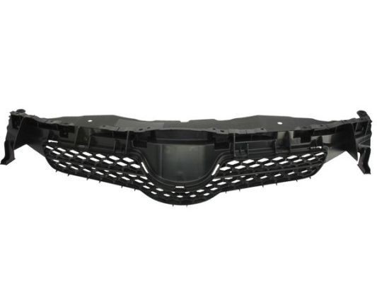 BLIC Radiator Grille Article number: 6502-07-8118990P cheaply
