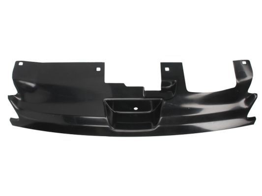 BLIC Radiator Grille Article number: 5601-00-5513996P cheaply