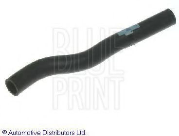 BLUE PRINT Radiator hose Article number: ADC49308 cheaply