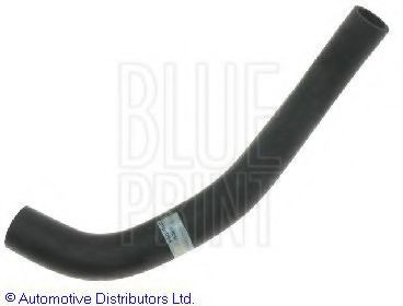 BLUE PRINT Radiator hose Article number: ADC49416 cheaply