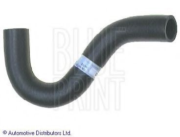 BLUE PRINT Radiator hose Article number: ADD69310 cheaply