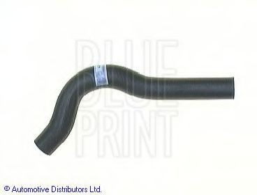 BLUE PRINT Radiator hose Article number: ADH29301 cheaply
