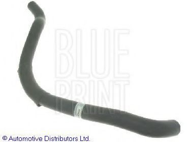 BLUE PRINT Radiator hose Article number: ADH29404 cheaply