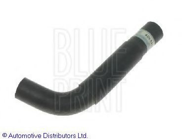BLUE PRINT Radiator hose Article number: ADK89407 cheaply
