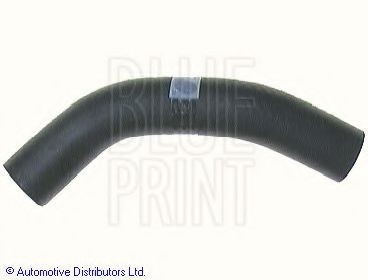 BLUE PRINT Radiator hose Article number: ADM59409 cheaply