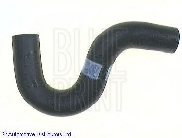 BLUE PRINT Radiator hose Article number: ADN19333 cheaply