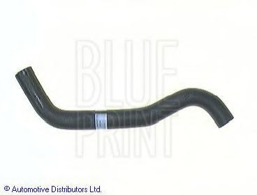 BLUE PRINT Radiator hose Article number: ADN19432 cheaply
