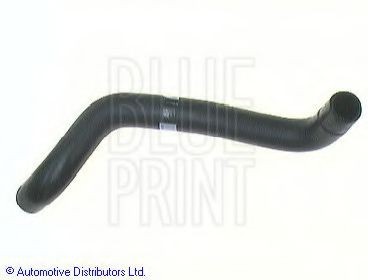 BLUE PRINT Radiator hose Article number: ADN19438 cheaply