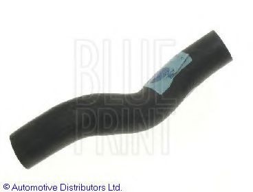 BLUE PRINT Radiator hose Article number: ADZ99301 cheaply