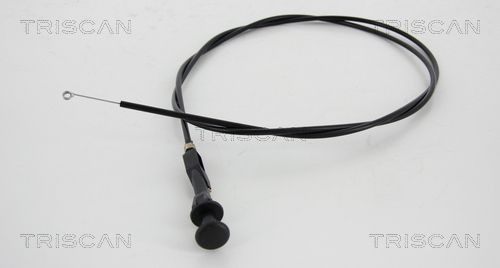 TRISCAN Chokeaksel, forgasser artikkelnummer: 8140 25506 billig