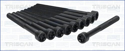 TRISCAN Bolt Kit, cylinder head Article number: 98-2505 cheaply