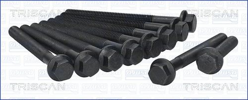TRISCAN Bolt Kit, cylinder head Article number: 98-2518 cheaply