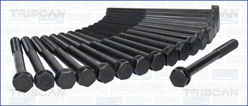 TRISCAN Bolt Kit, cylinder head Article number: 98-3201 cheaply