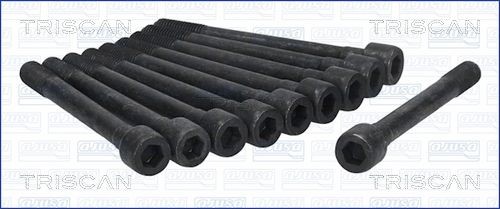 TRISCAN Bolt Kit, cylinder head Article number: 98-4302 cheaply