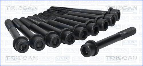 TRISCAN Bolt Kit, cylinder head Article number: 98-5001 cheaply
