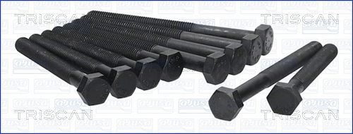 TRISCAN Bolt Kit, cylinder head Article number: 98-5007 cheaply