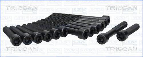 TRISCAN Bolt Kit, cylinder head Article number: 98-5013 cheaply