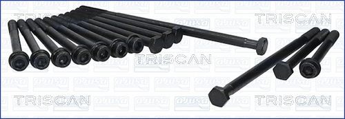 TRISCAN Bolt Kit, cylinder head Article number: 98-6005 cheaply