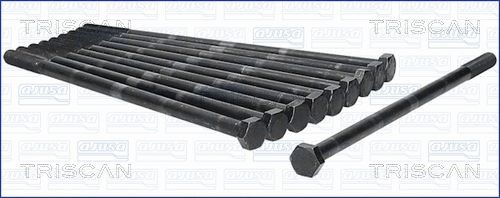 TRISCAN Bolt Kit, cylinder head Article number: 98-6009 cheaply