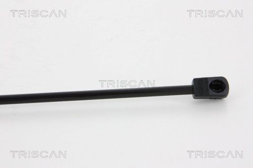 TRISCAN Brake Pad Set, disc parking brake Article number: 8110 10569 cheaply