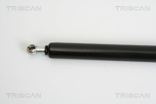 TRISCAN Brake disc Article number: 8120 16106 cheaply