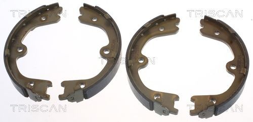 TRISCAN Brake disc Article number: 8120 24101 cheaply