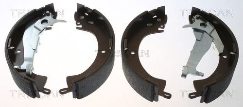 TRISCAN Brake disc Article number: 8120 25103 cheaply