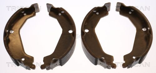 TRISCAN Brake disc Article number: 8120 25123 cheaply