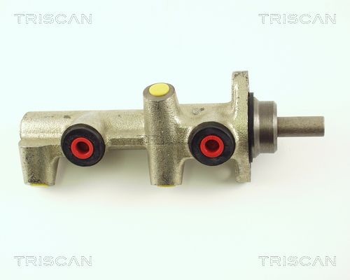 TRISCAN Peapiduri silinder Artikli number: 8130 27105 soodsalt