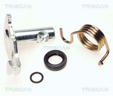 TRISCAN Repair Kit, parking brake handle (brake caliper) Article number: 8170 209918 cheaply