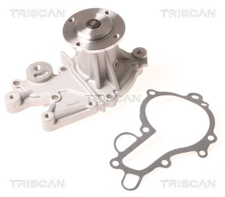 TRISCAN Water pump Article number: 8600 69001 cheaply