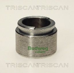 TRISCAN Serpentine belt Article number: 8640 501550 cheaply