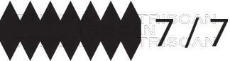 TRISCAN Serpentine belt Article number: 8640 771360 cheaply