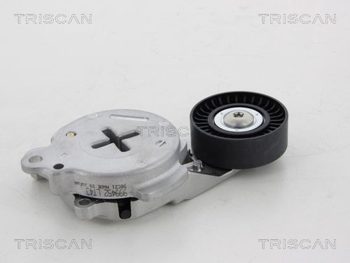 TRISCAN Tensioner Lever, v-ribbed belt Article number: 8641 133007 cheaply