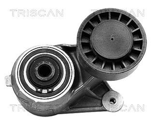 TRISCAN Tensioner Lever, v-ribbed belt Article number: 8641 233002 cheaply