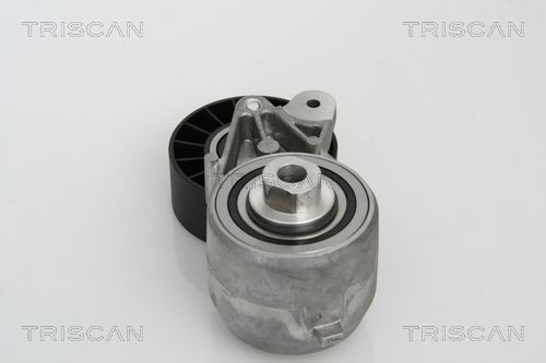 TRISCAN Tensioner Lever, v-ribbed belt Article number: 8641 233009 cheaply