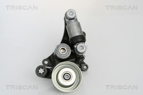 TRISCAN Tensioner Lever, v-ribbed belt Article number: 8641 233010 cheaply